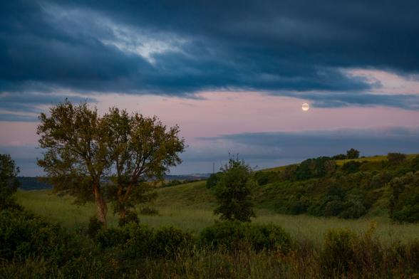moon setting in a cloudy sky with tree and hill in fgnd