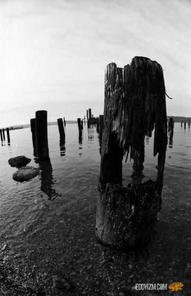 iford, iso 100 #minolta #maxxum5 #16mm #fisheye 
#Portland #washington 
#analogphotography #filmisnotdead #filmgrain #believeinfilm #monochrome
#blackandwhite #photography #nature #outdoors #natura  #bwphotography #bwphotography #gooutside #wanderer #exploration #blackandwhitephotography