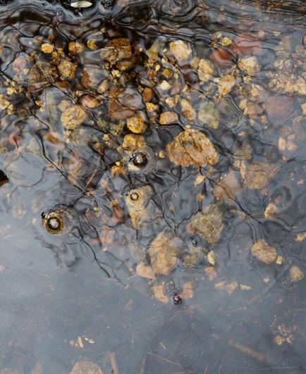 Abstract picture of a water in nature. On the upper part of the photo rocks that are underwater are visible and there is also a reflection from the trees. Water has brown tint but it is really clear. Bottom of the photo is mostly light colored.