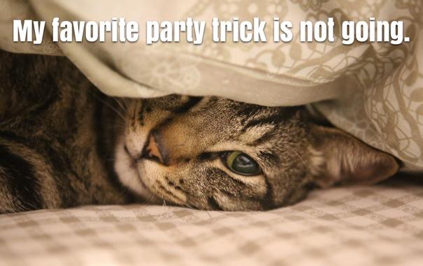 Photo of a cat laying on their left side under a blanket on a bed. Their head is cushioned on the mattress and the blanket covers the cat’s right eye. Their left eye looks at the viewer with a sleepy gaze. Above the cat’s head are the words, “My favorite party trick is not going.”