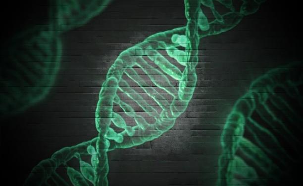 Research: New DNA-reading Technology Holds Promise For Rare Disease Research