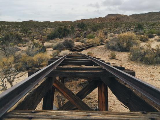 "People living deeply have no fear of death."
~ Anaïs Nin
#wallstreetmill #joshuatree #nationalpark #joshuatreenationalpark #california
#outdoors #nature #hiking #gothefuckoutside #desert #quote #fear #wanderer #wandering #exploration #explorer #goexplore #quote