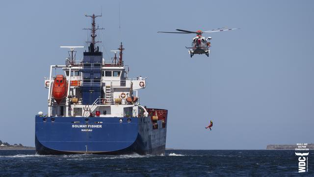 Coastguard helicopter lowering its winch cable with crew member dangling in mid air getting ready to practise lowering onto a fuel tanker Solway Fisher, Inverness Firth, Highlands of Scotland.