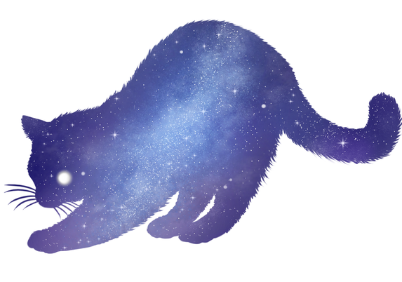 Drawing of a shape of stretching cat, with its back bent in arch. Inside this shape there is a gradient dark blue night sky, with larger and smaller stars, some areas filled with brighter light/fog and big shiny moon or planet in place of cat's eye.