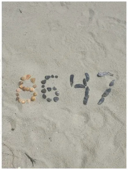 James Comey’s deleted IG post shows seashells on sand form the digits “8647”