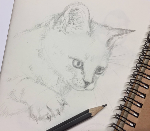 Handmade black and white pencil drawing of a cute cat by artist Karen Kaspar