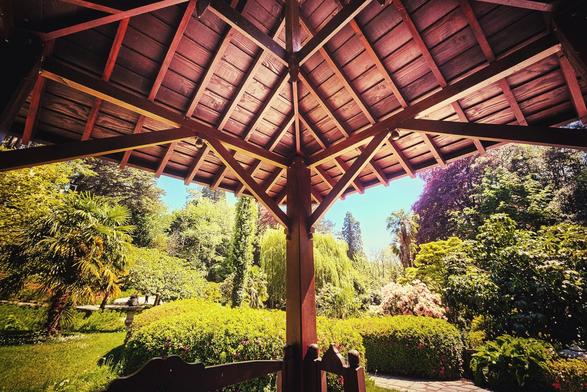 A view looking outwards from underneath a wooden pavilion structure, framing a vibrant garden scene with various trees, bushes, and a glimpse of the blue sky.