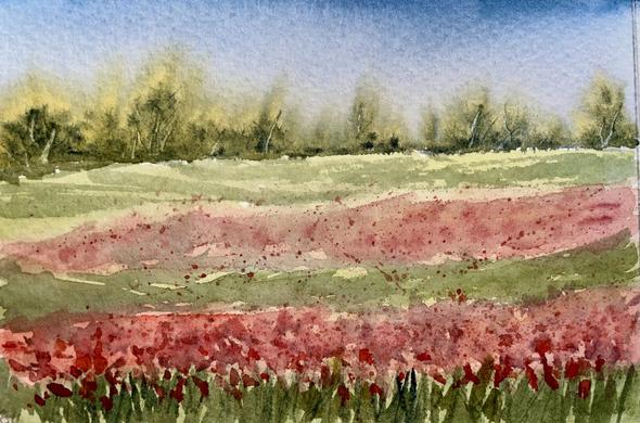 A wide field stretches into the distance with thick bands of blooming wildflowers and grasses, backed by a soft line of trees that blur gently into the sky.