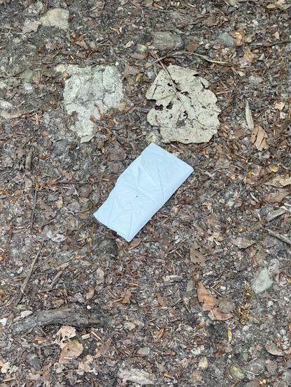 Ein vermutlich unbenutztes Papiertaschentuch liegt auf einem Waldweg.
