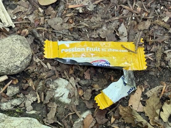 Die Hülle eines Hi-Chew Bonbons liegt mitten im Wald.