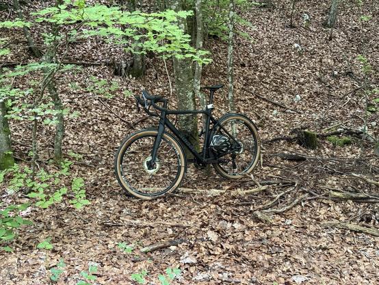 Ein zwar ordentlich abgestelltes, aber trotzdem nicht dahin gehörendes Fahrrad steht mitten im Wald.
