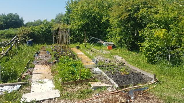 Plot view with hoses