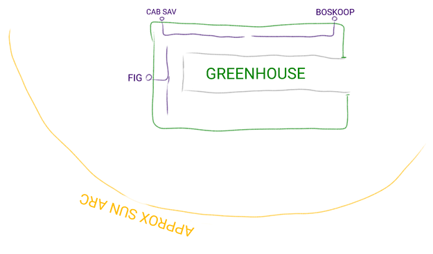 A basic sketch showing the rectangle of a greenhouse, growing locations of plants, and the rough sun arc.