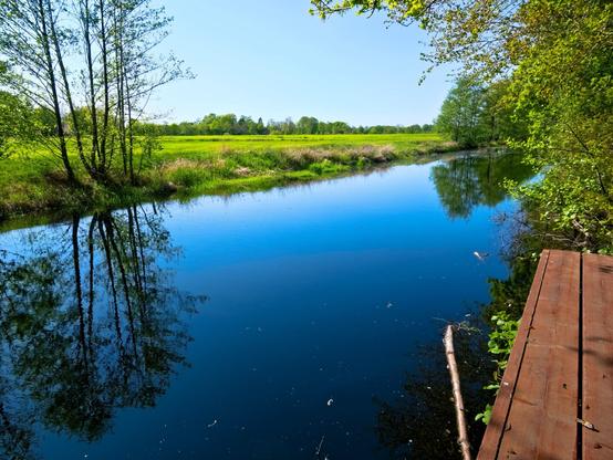 A canal in the sunlight. Blue water, blue sky, green bank and a bit of a wooden jetty in the foreground.