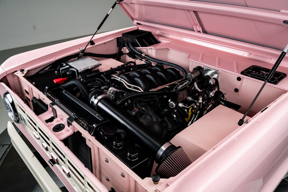 the hood is open,  the  engine is black and shiny