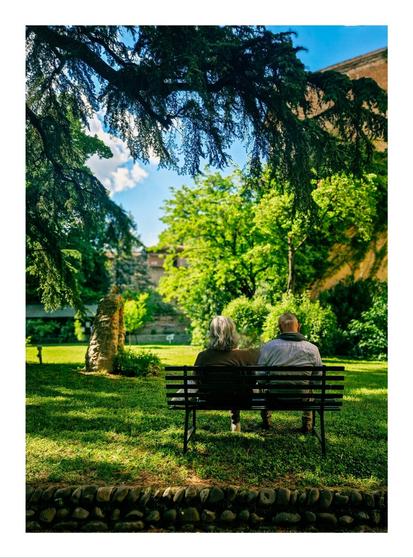 The image shows an elderly couple sitting on a green bench in a garden, their backs to the camera. They are sitting under the shade of a large tree, overlooking a sunlit lawn and a slightly blurry background. The tree is casting shadows on the grass. In front of the couple a little in the distance is more greenery against a yellow building wall.