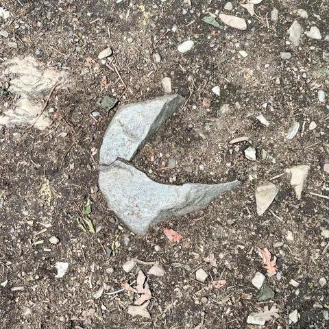 A partially-exposed stone in dirt that resembles Pac-Man.