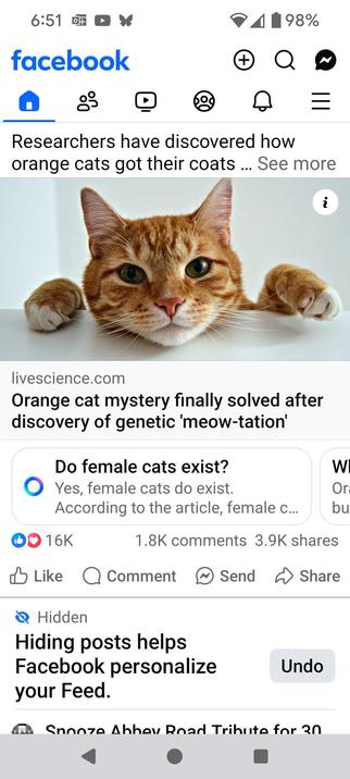 FB post of article on genetics of orange cats with AI-suggested question "Do female cats exist?"
