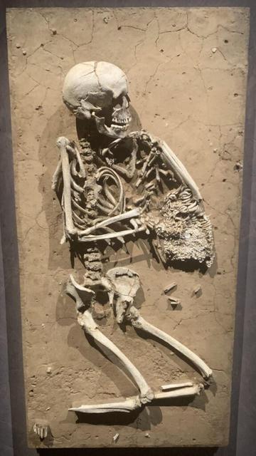 Woman buried with swaddled baby, Wennungen, Germany, 2575-2450 BCE. For protection, the swaddling sling was decorated with dog teeth from over 50 animals [928x1650]