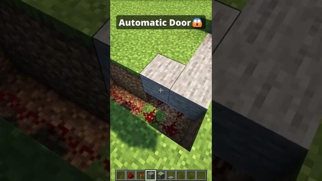 Minecraft Secret Door😱 #shorts #minecraft