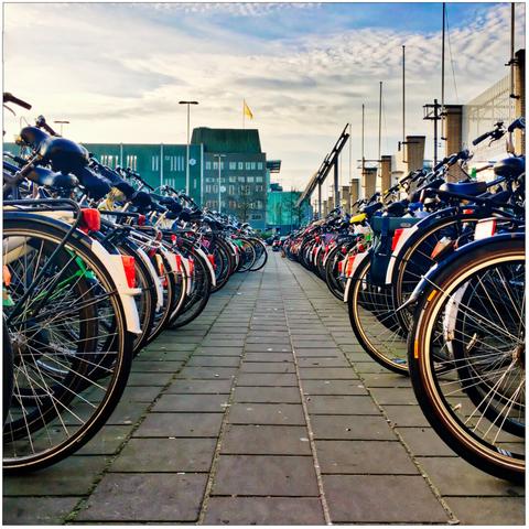 Rows of bicycles to the left and to the right