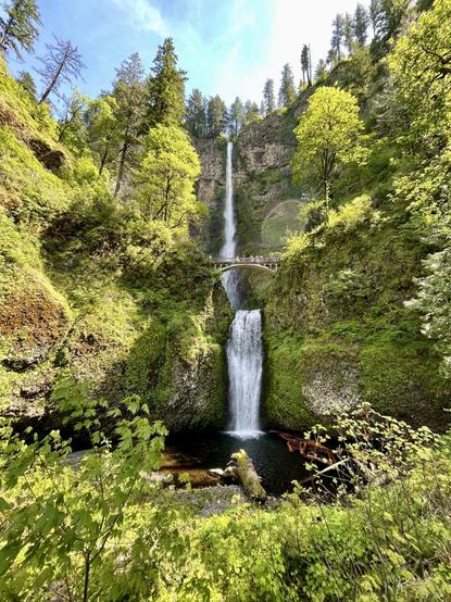 A scenic view of a cascading waterfall surrounded by lush green trees and vegetation. A bridge crosses over the upper section of the falls, with visitors visible on it. The area is vibrant and naturally beautiful, with sunlight filtering through the trees.