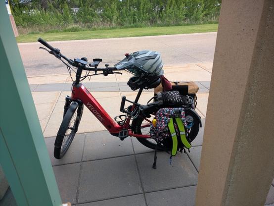 Waiting for the bus with the work horse