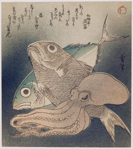 Woodblock of fish and an octopus.

Image thanks - https://ukiyo-e.org/