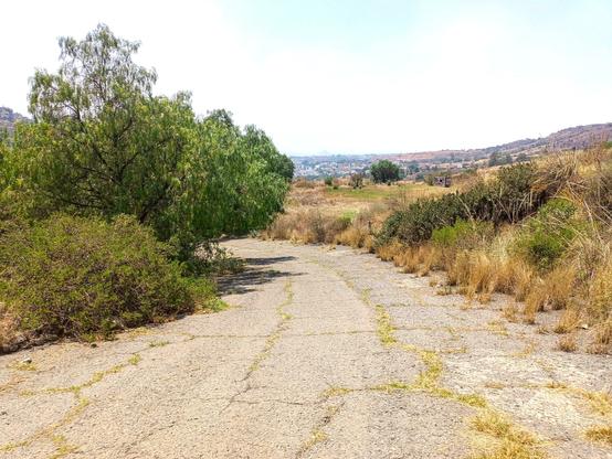 a photo of a road section on a curve between the hills, with vegetation on the sides and a small guard hut where I ride my bike frequently to do excersice.