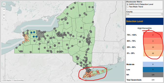 A screen grab of the New York State Covid wastewater surveillance map. Grey dots are all over the New York State map. But yellow and orange dots cover New York City, which is circled in red as are those colors in the map's key.