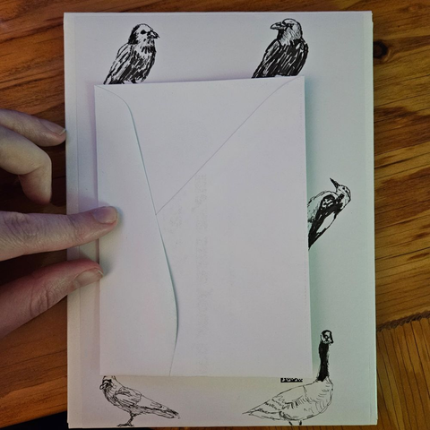 A set of marker doodles on a postage box that has 3 crows a woodpecker and a canadian goose arranged around it