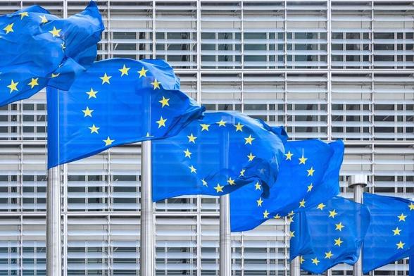 EU Considers Delaying Wave One Sustainability Reporting Requirements