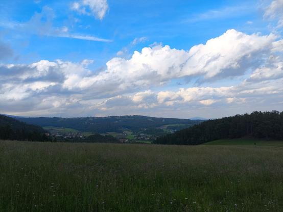 Im Vordergrund eine hohe Wiese, dahinter Wald zu beiden Seiten, dazwischen Ausblick hinunter auf eine Ortschaft. Viele Wolken und blauer Himmel.