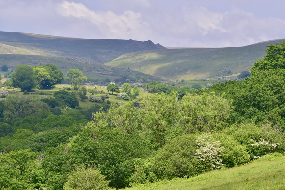 Green trees lead to a jagged tor on the horizon.