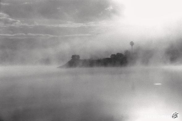 A black and white photograph of a misty lake with a silhouette of an island with a palm tree in the distance