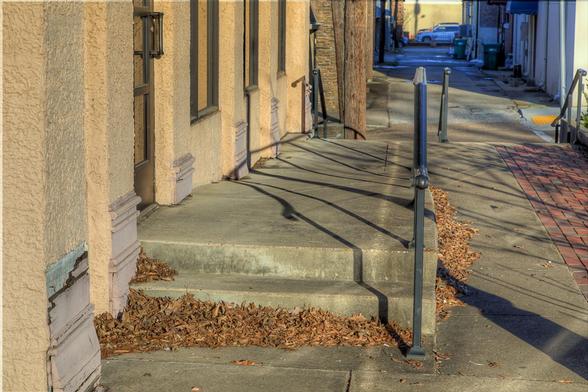 Warm sunlight casts long shadows across a set of concrete steps, bordered by dry leaves