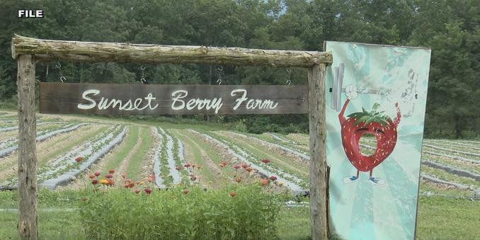Local farm affected by cuts from the Department of Government Efficiency