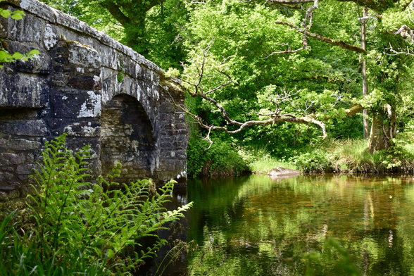 Hill bridge with green reflection