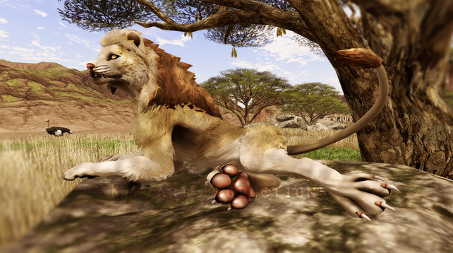 Screenshot from Second Life of a KZK Direcat, styled after a lion, lounging on a warm rock in a savannah