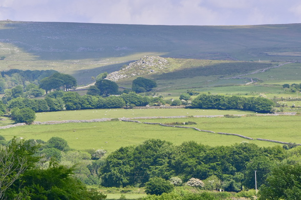 A green moorland landscape with a granite outcrop.