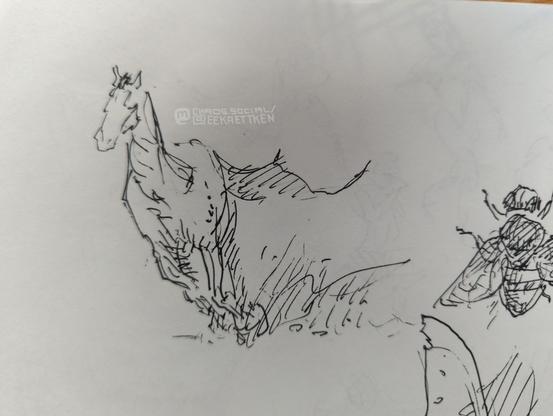 Black Fineliner on paper

Sketch of a running horse and a bee