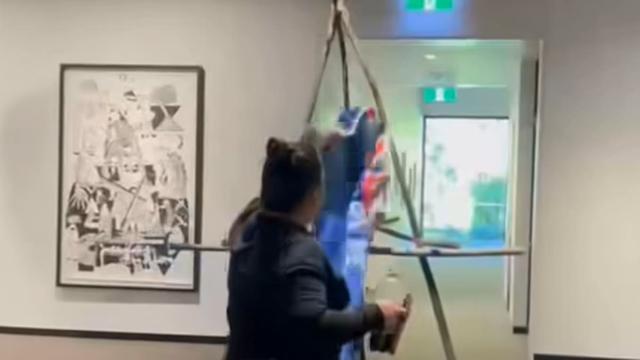 Suter Gallery: Woman vows to pick controversial flag from the floor every day in Nelson protest