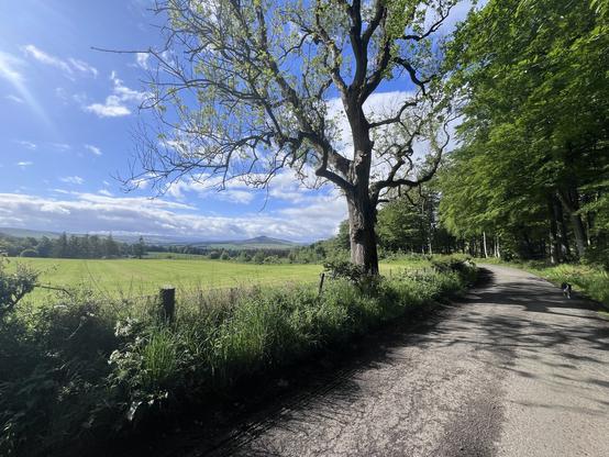 All downhill form here. The semi-metalled road with a blue sky above and Ruberslaw in sight to the left.