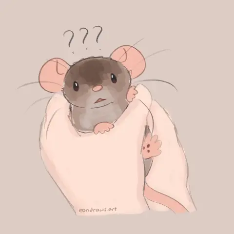 a brown dumbo pet rat held in human hands. the hands are wrapped around him. he clings onto a finger and stares up in confusion, with question marks drawn above his head.