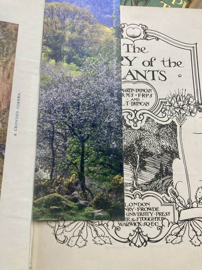 An art nouveau book and hawthorn photo bookmark.