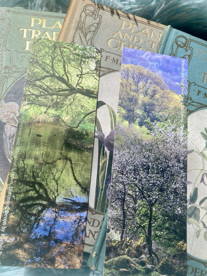 Both sides of bookmarks