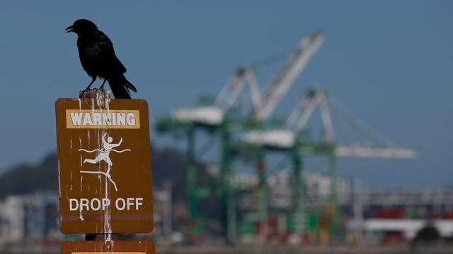 U.S. trade war could mean 7 million fewer jobs globally: U.N. report