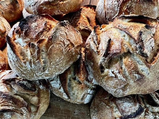 Auf einem dunklen Holztisch liegt ein Holzbrett. Darauf liegen zahlreiche frisch gebackene Brötchen mit rustikalem Ausbung