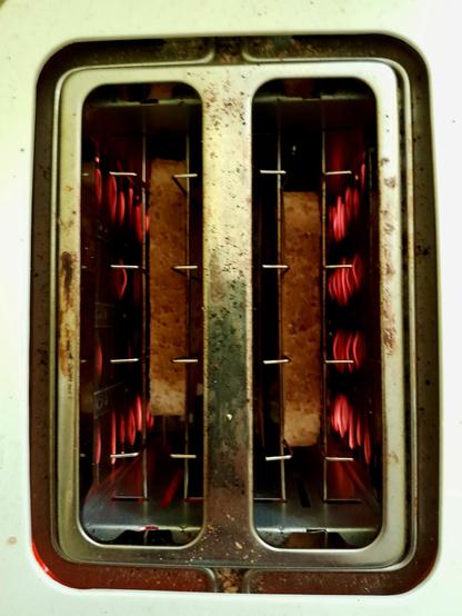 Toast toasting in the toaster, round side down, as seen from above.