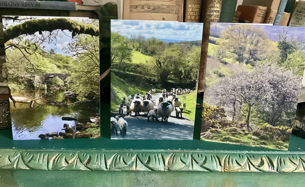 Three greetings cards on a bookcase